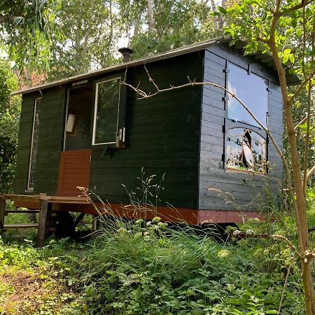 Pipo-Wagen De Veenborgh Veendam Extérieur photo